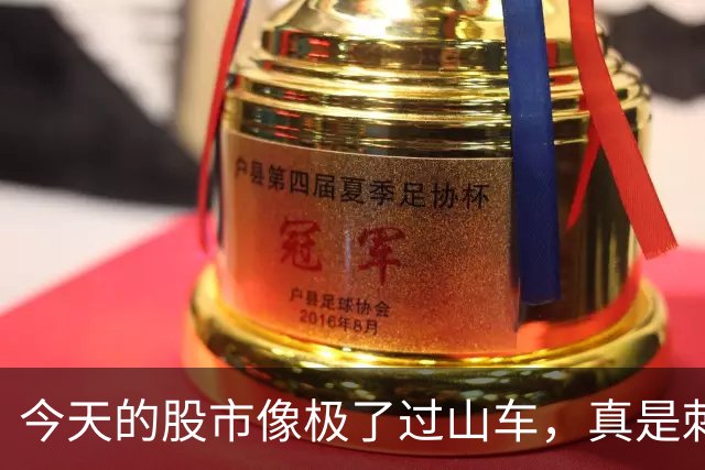 今天的股市像极了过山车，真是刺激又爽快！