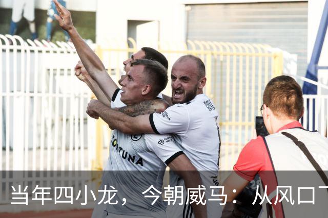 当年四小龙，今朝威马：从风口飞扬到坠入深渊
